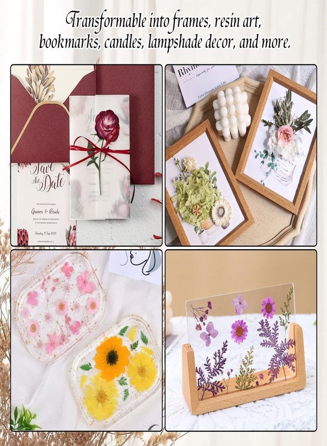 Foboull 10" x 10" Acrylic Flower Pressing Kit with Storage Bag and Detailed Instructions, Gift Flower Pressing Kit for Adults, DIY Plant Preservation - Image 4